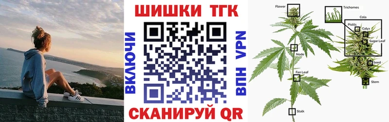 Бошки Шишки индика  Купить закладки  Курчалой 